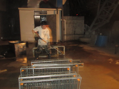 凈化片清洗中.JPG 凈化片清洗中.JPG